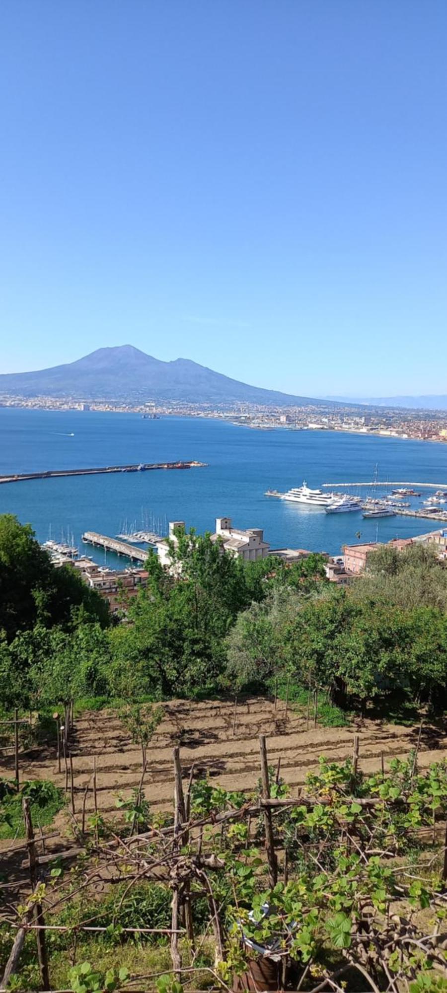 Emma Dimore Apartman Castellammare di Stabia Szoba fotó